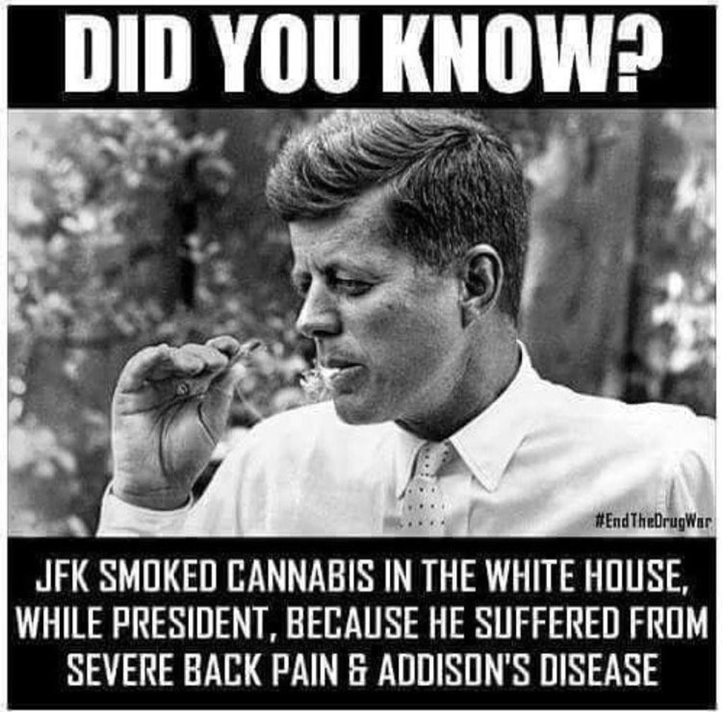 The_Corp_Hippy's tweet photo. The facts are clear about this amazing plant and all it has to offer.. Education is key 💚🌱💚 https://t.co/UQlaJimMyn