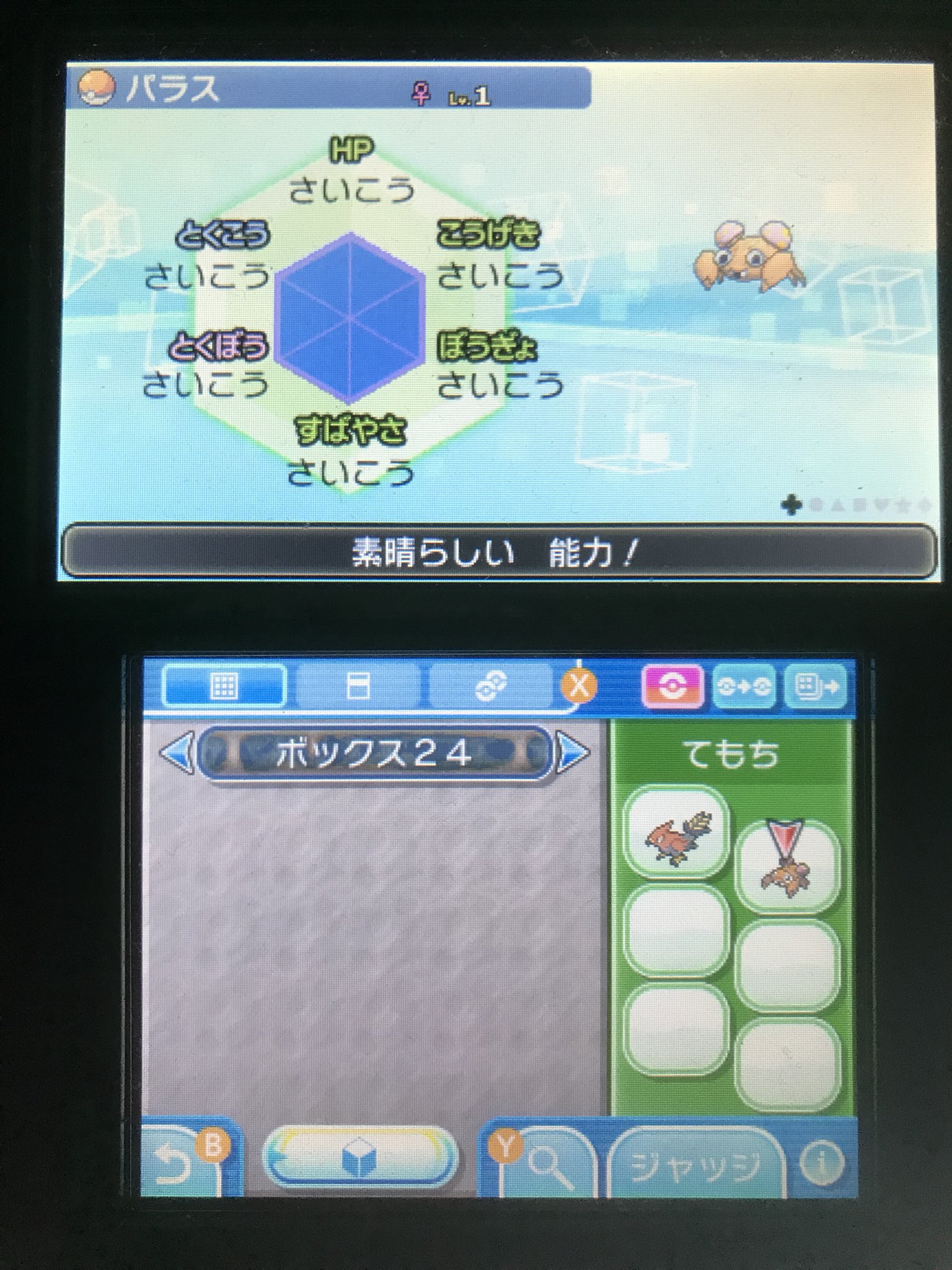 ポケモン6v記録 Twitter