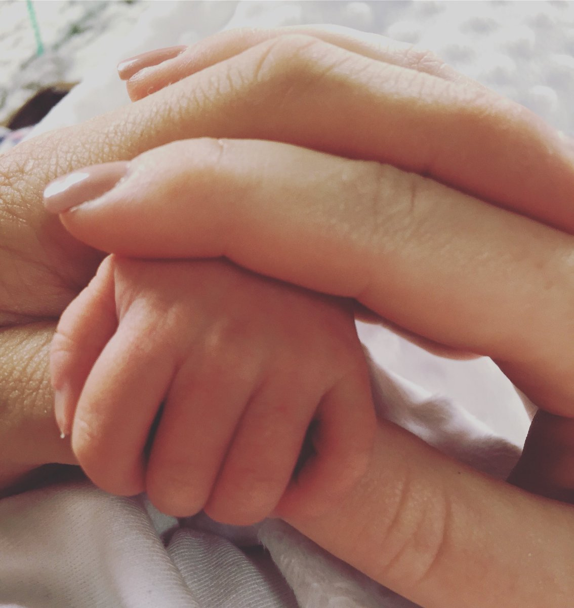 Adam Bell tweet media