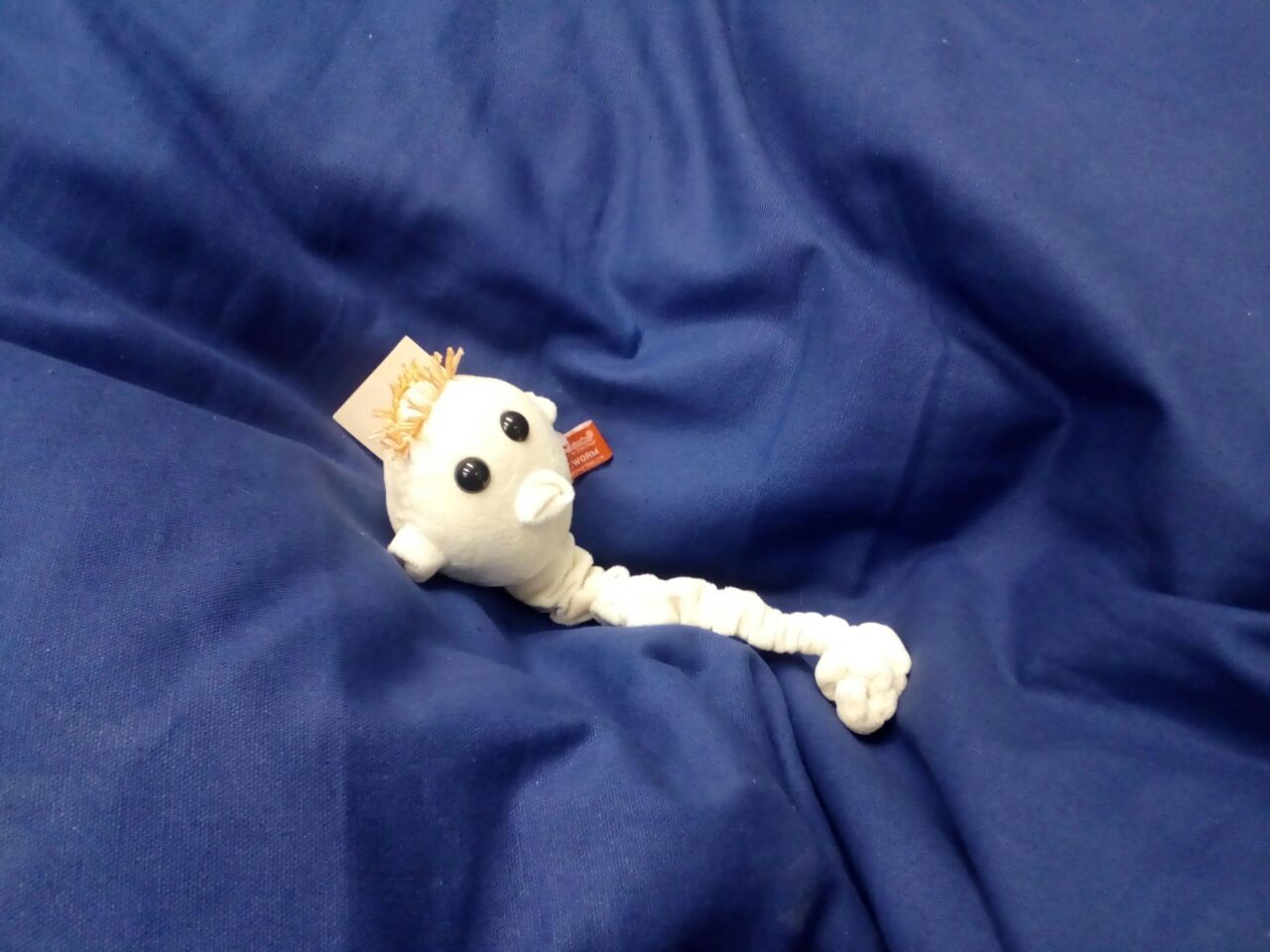 Tapeworm stuffed animal deals