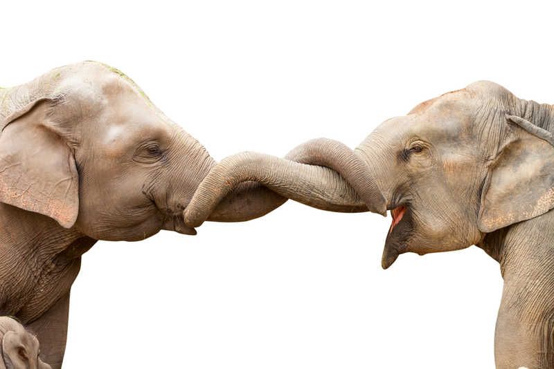 MessagePanda's tweet image. I'm never bored when we are together. When we're apart I'm not bored either: I'm busy thinking of you!