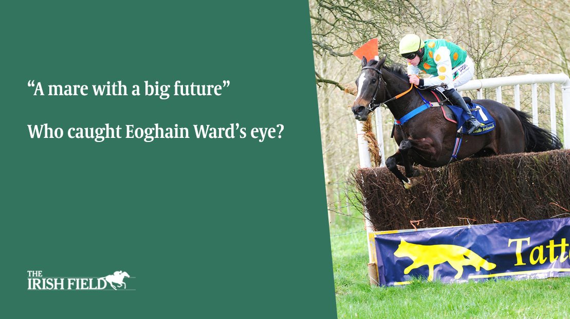 .<a href="/EoghainWard/">Eoghain Ward</a> marks out 10 pointers you MUST put in your notebook. Don't miss out, ONLY in this weekend's edition of <a href="/TheIrishField/">The Irish Field</a>! 🐎☘️ <a href="/irishp2p/">p2p.ie</a>