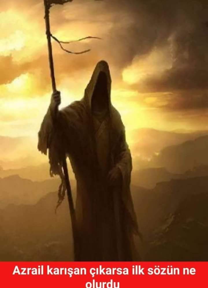 Cihan (@cihan51950431) on Twitter photo 