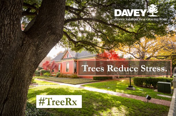 DaveyTree's tweet photo. Happy #ArborDay! Here are some ways trees improve health and wellness! #TreeRx https://t.co/ba89PJ9rJG