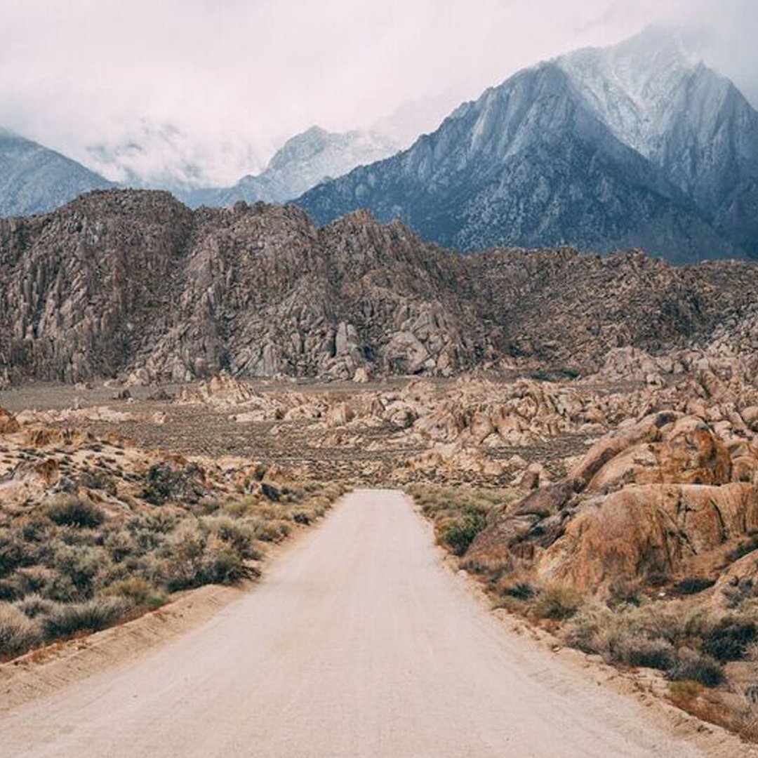 yourgreatpark's tweet image. There are only a few weeks left to visit the "Golden Parks: Huell Howser" exhibit at the Great Park Gallery. Original prints by artist Robert Olson and photography by Josh McNair capture the beauty of the California parks that Huell Howser documented throughout his career. #ocgp