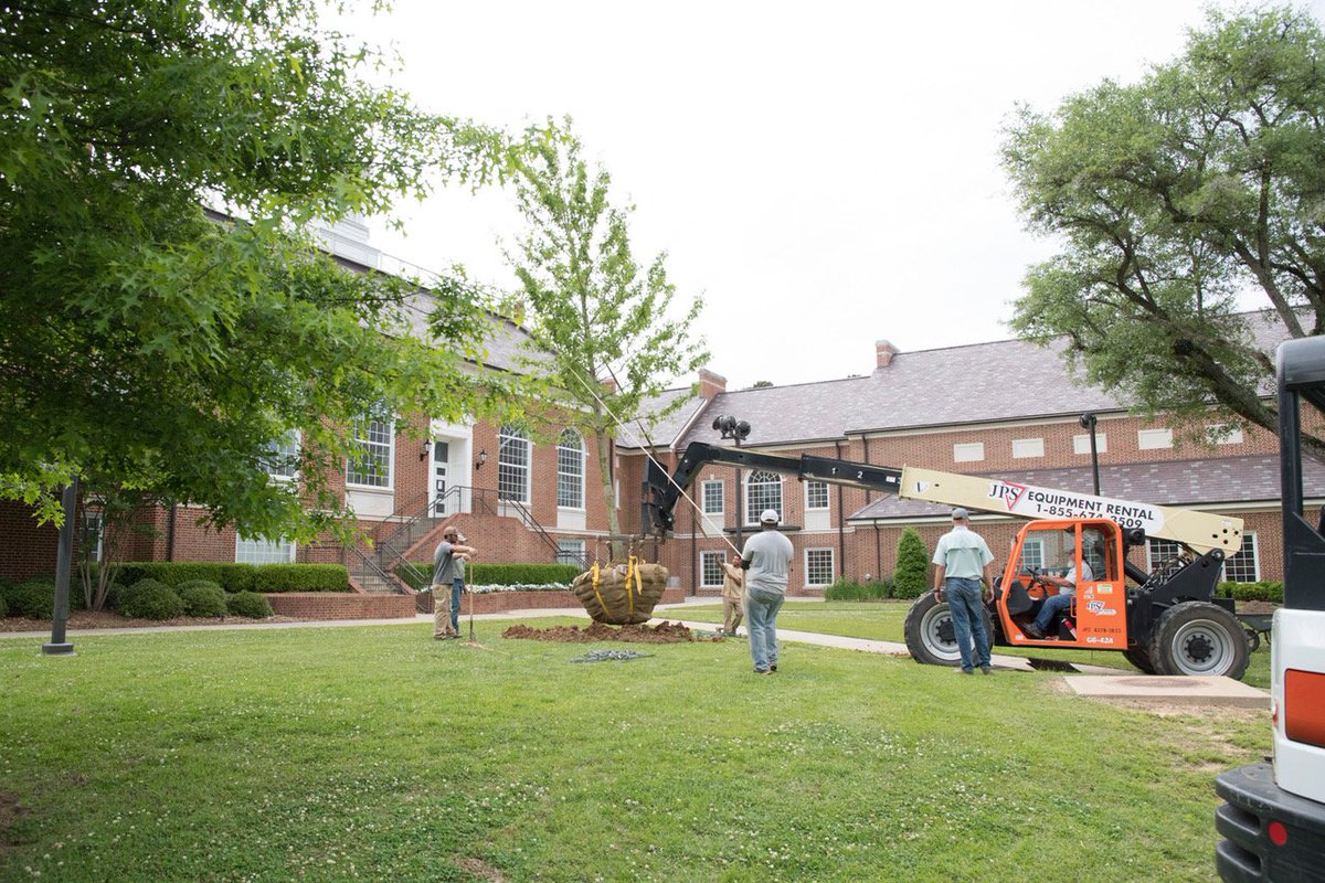 LATech's tweet image. There&apos;s no better way to celebrate Arbor Day! Noble trees arrived just in time! 😊 #nobletree #everloyal #arborday