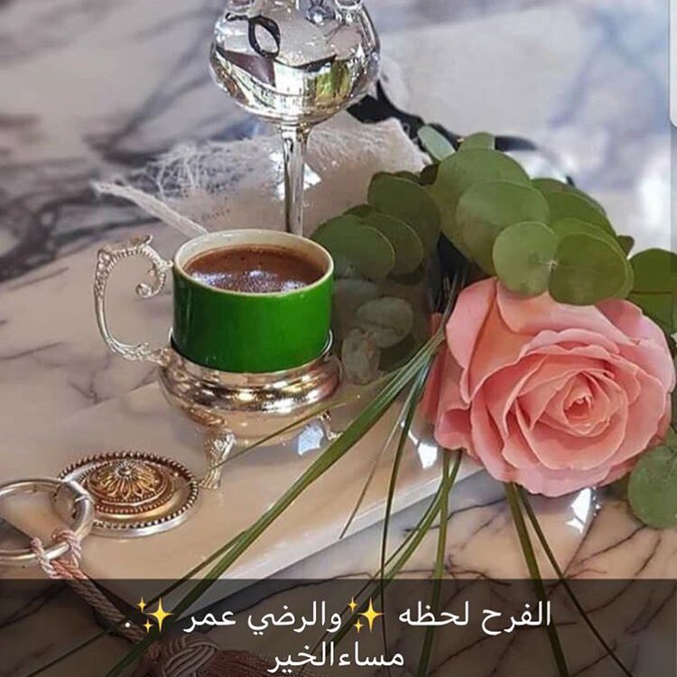 محمد العمودي tweet media