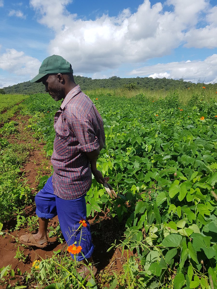 Lutheran Development tweet media