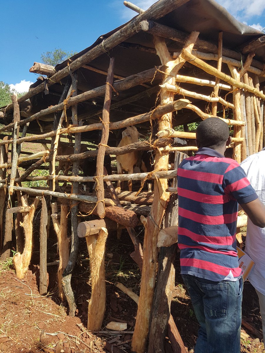 Lutheran Development tweet media