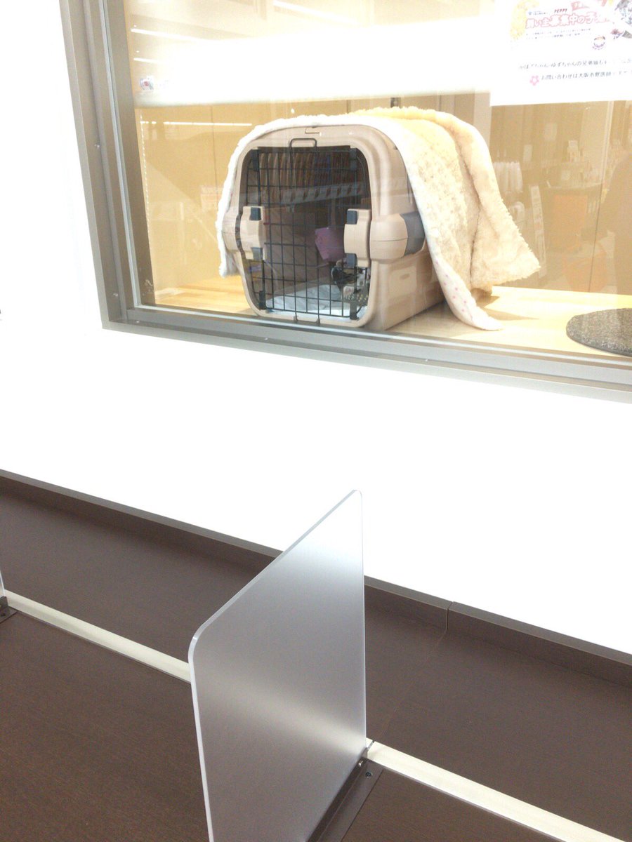 南大阪動物医療センター 373 003ka Twitter
