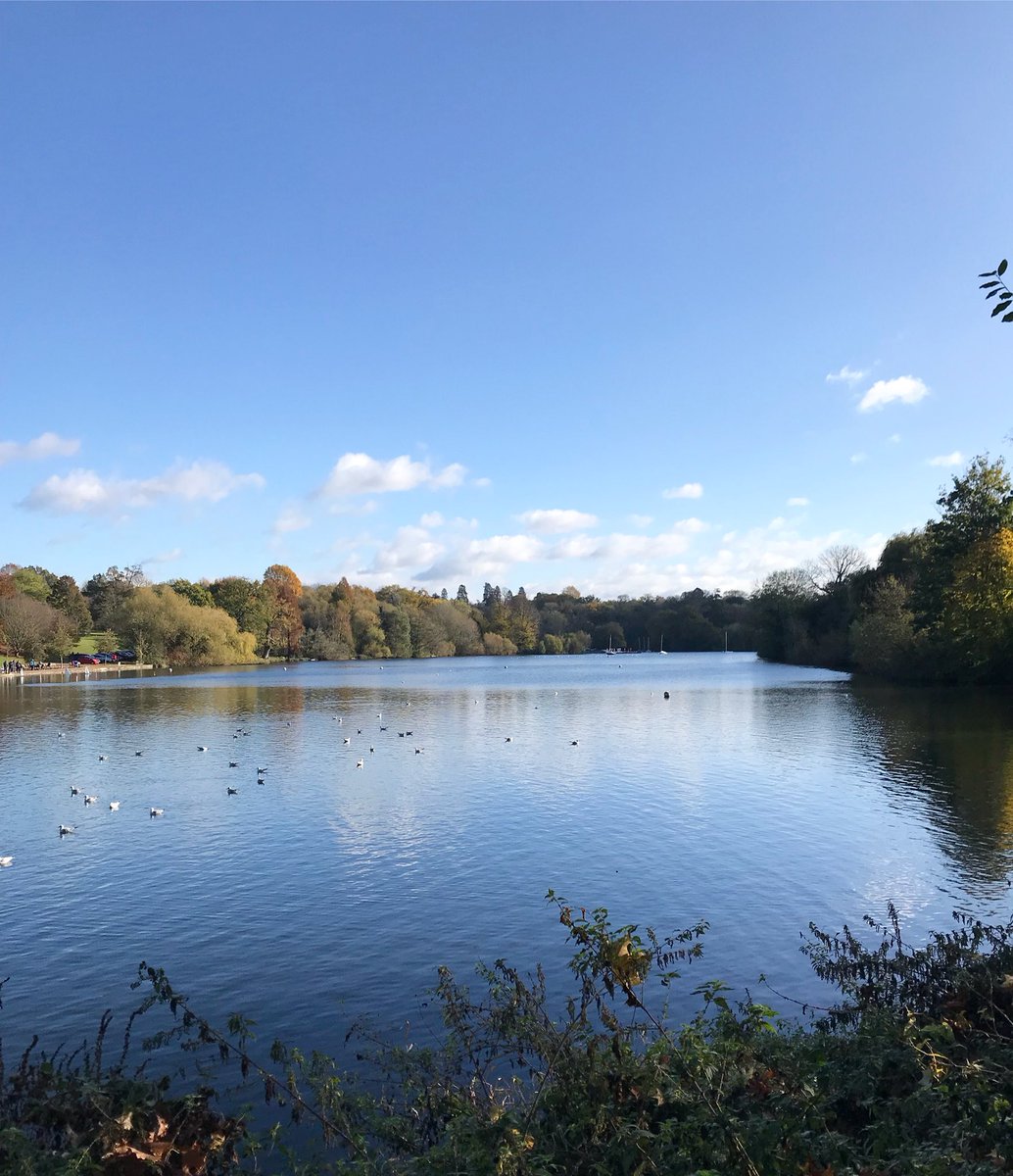 KentBlogNetwork's tweet image. Mote Park 🌿