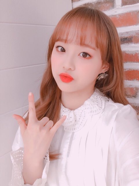 Hyeni_chuu's tweet photo. 마음의 안정,, https://t.co/zE3r5NPzr2