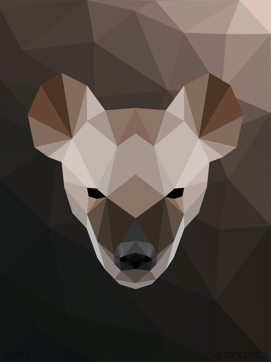 Crocutact's tweet image. Here's some vector artwork I've made of each of the members in the Hyaenidae family! 
Hope everyone has a happy #hyenaday