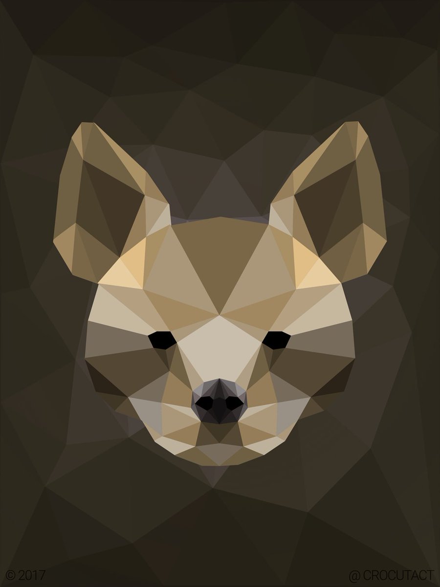 Crocutact's tweet image. Here's some vector artwork I've made of each of the members in the Hyaenidae family! 
Hope everyone has a happy #hyenaday