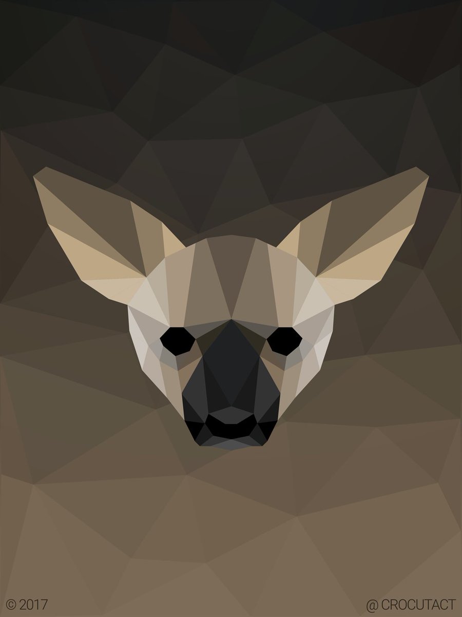 Crocutact's tweet image. Here's some vector artwork I've made of each of the members in the Hyaenidae family! 
Hope everyone has a happy #hyenaday