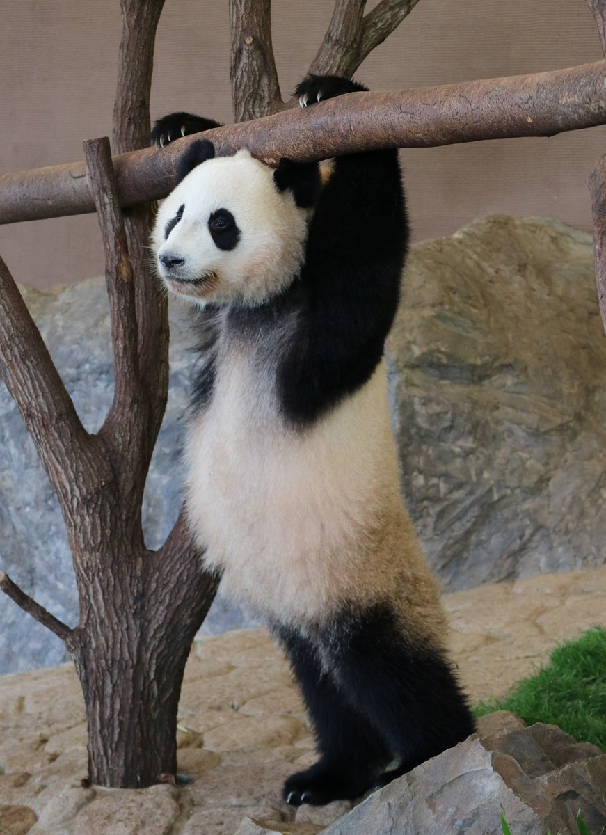 Pato 結浜は可愛いだけじゃなく 面白さでも私たちを癒してくれますね