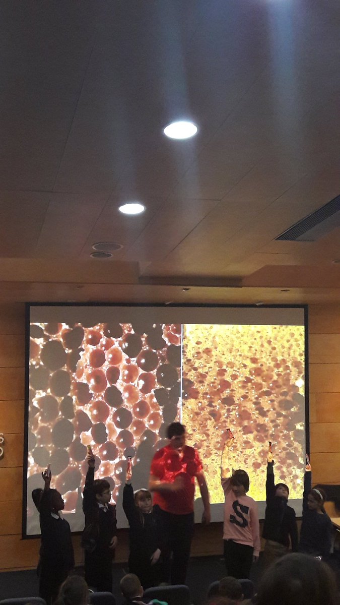EngineerIreland's tweet photo. Dr Megaphone in action comparing osteoporosis with healthy bones using crunchie and wispa chocolate bars! #EngWeek18 @OUIreland @TheOUGlobal https://t.co/Yj0OroLN4S