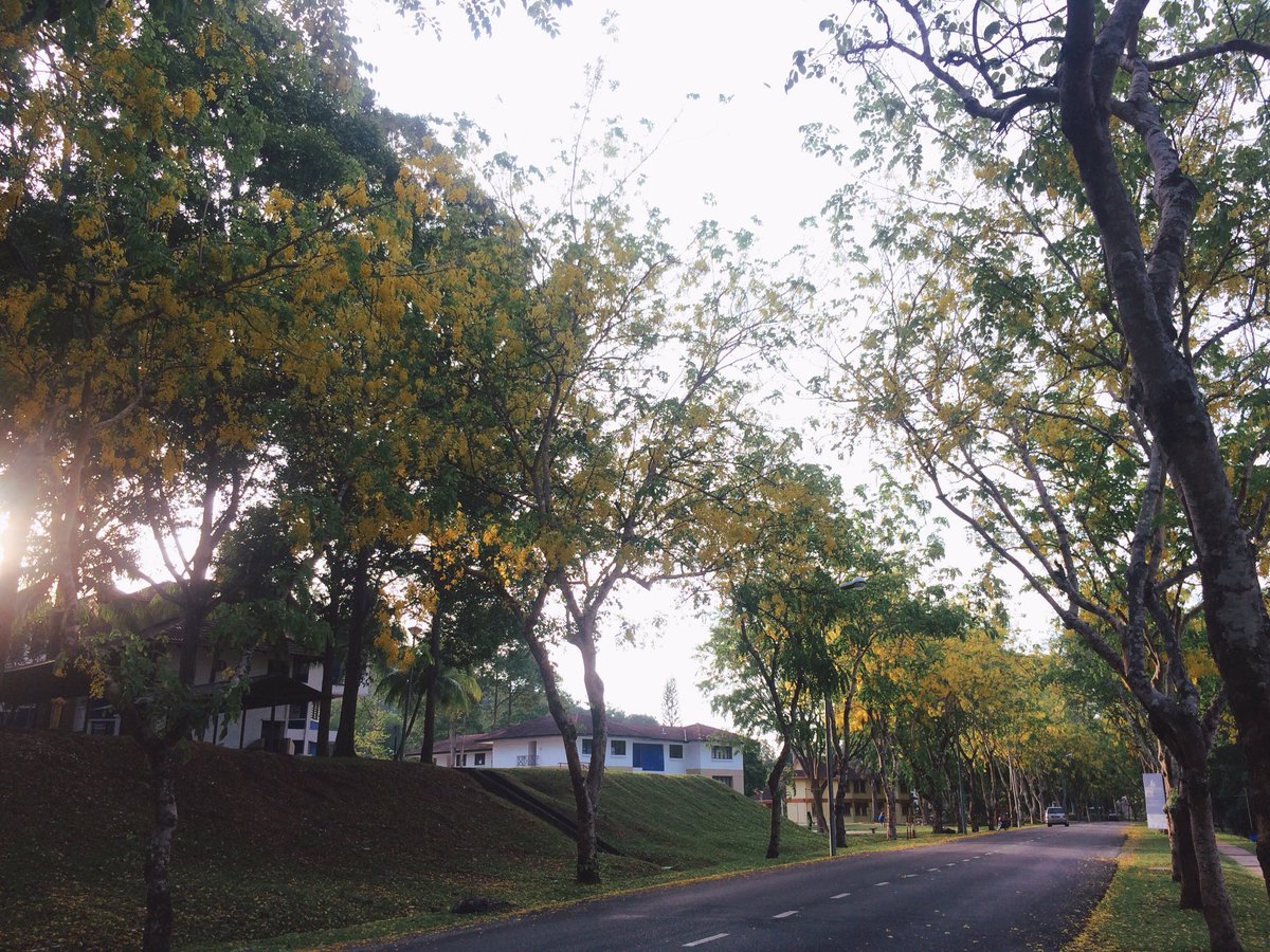 #springatUUM 🌼🍃🌼🍃🌼🍃