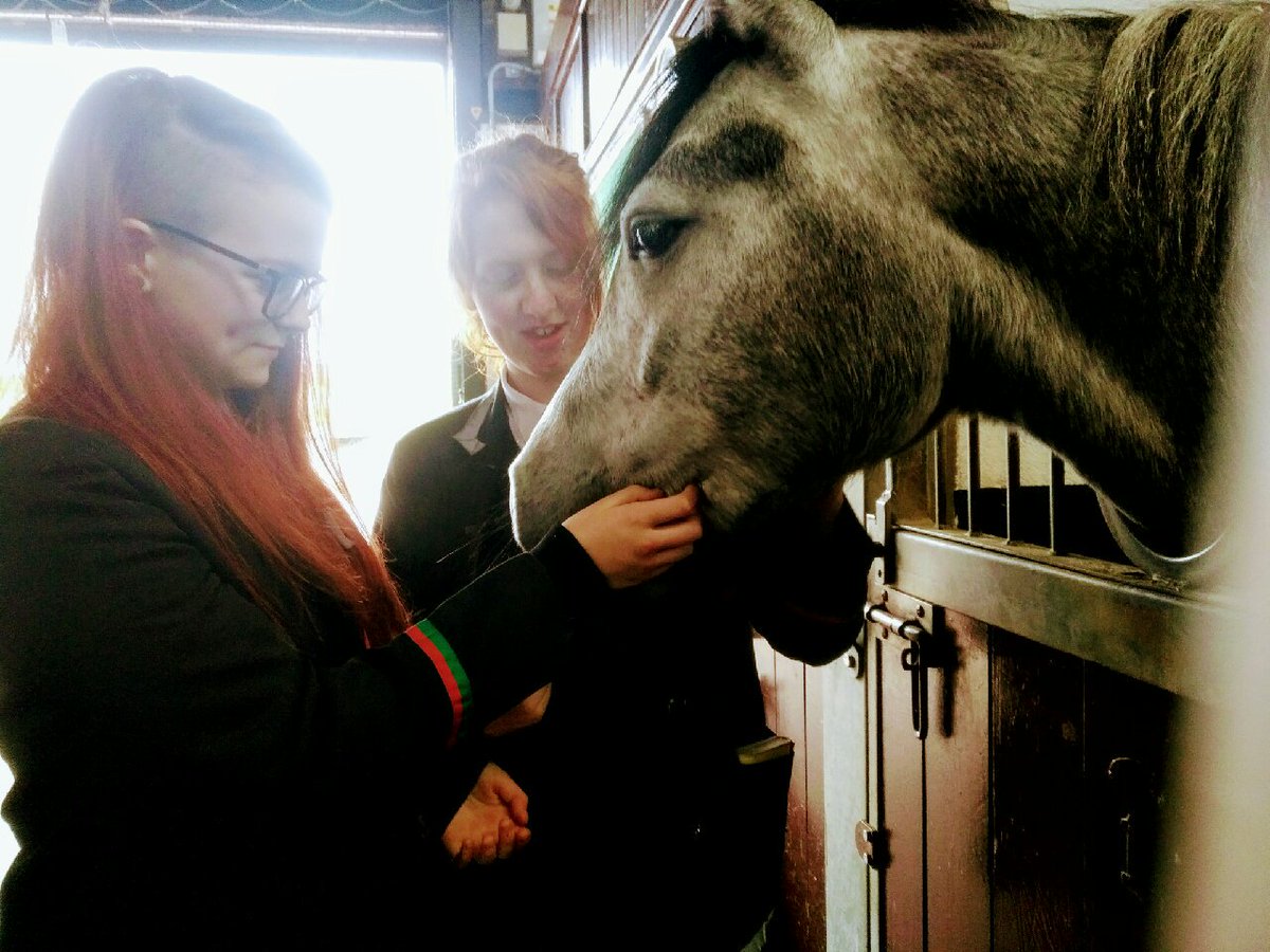 CAFRE Enniskillen welcomed pupils from a number of Northern Ireland secondry schools to our Equine Taster Day yesterday  Pupils got to find out what it would like to be a student at CAFRE Enniskillen for the day. 🐴🐎😊☀️🌧 #equinecareers #learningbydoing