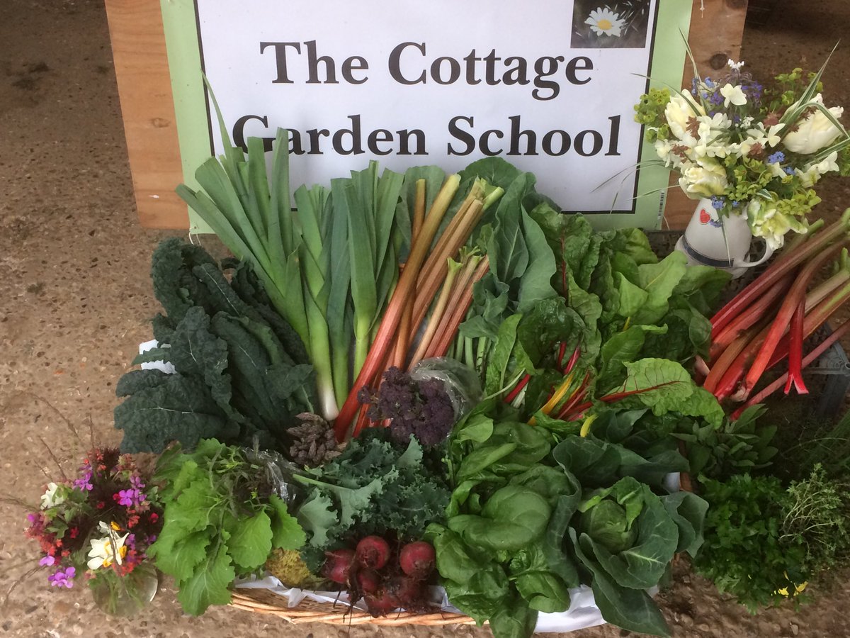 CottageGarSch's tweet photo. Learn how to Grow your own Fruit &amp; Veg spaces still available on our course tomorrow #veginseason #GrowYourOwn #springintosummer #Course #learnsomethingnew https://t.co/U2zgUSQE7I