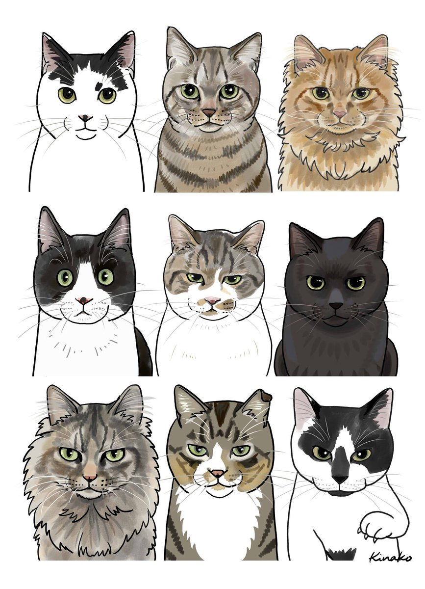 きなこ 猫の絵を描いています Twitter પર 河原の野良猫 勢ぞろい ホントはもっとたくさんいたのですが 個性を強調して イラスト風に似顔絵で描いてみました 似てない子もいるかなぁ 名前 わかるかな 猫絵 Cat Drawing 猫イラスト