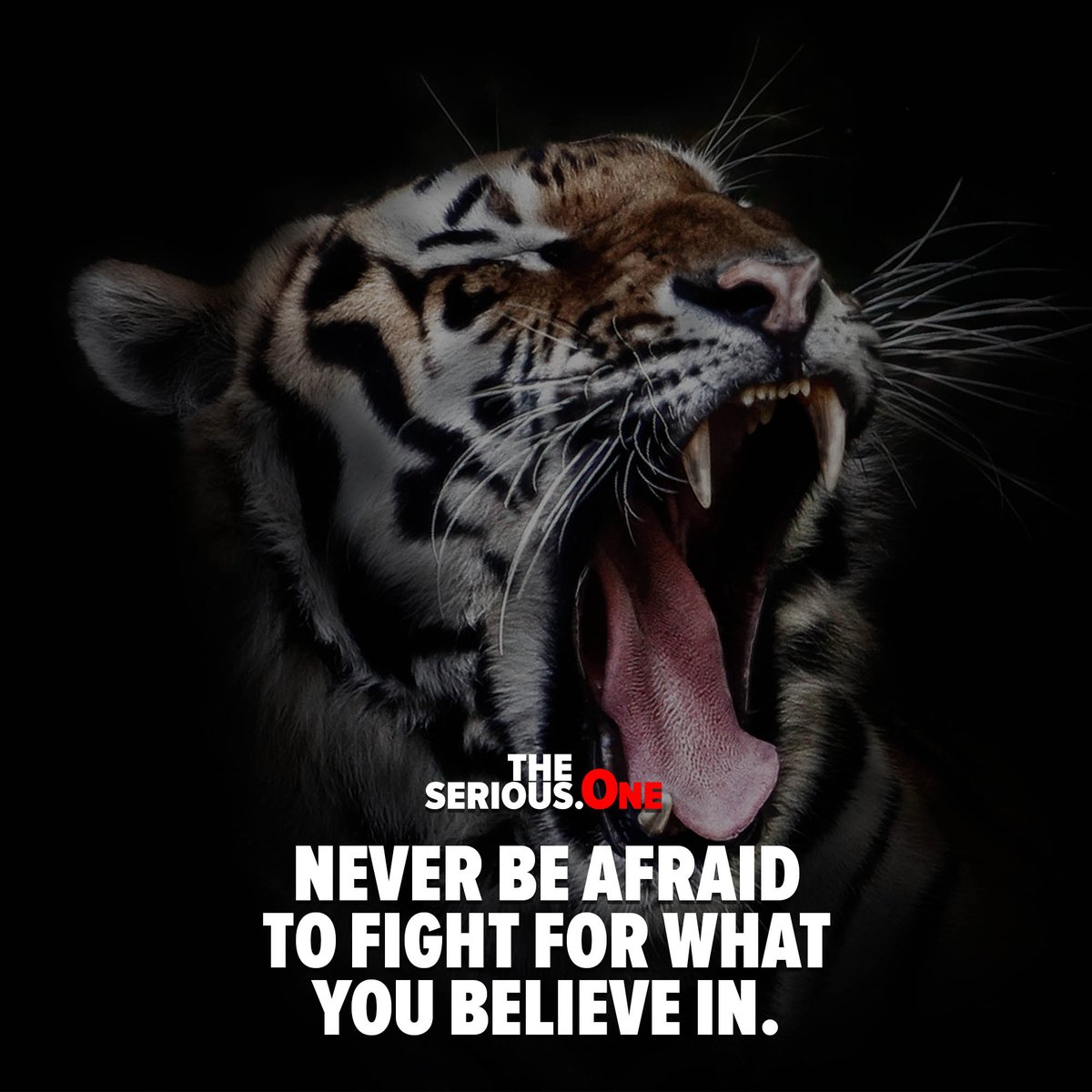 Never be afraid to fight for what you believe in.

theserious.one/never-be-afrai…

#hustle #workhard #motivation