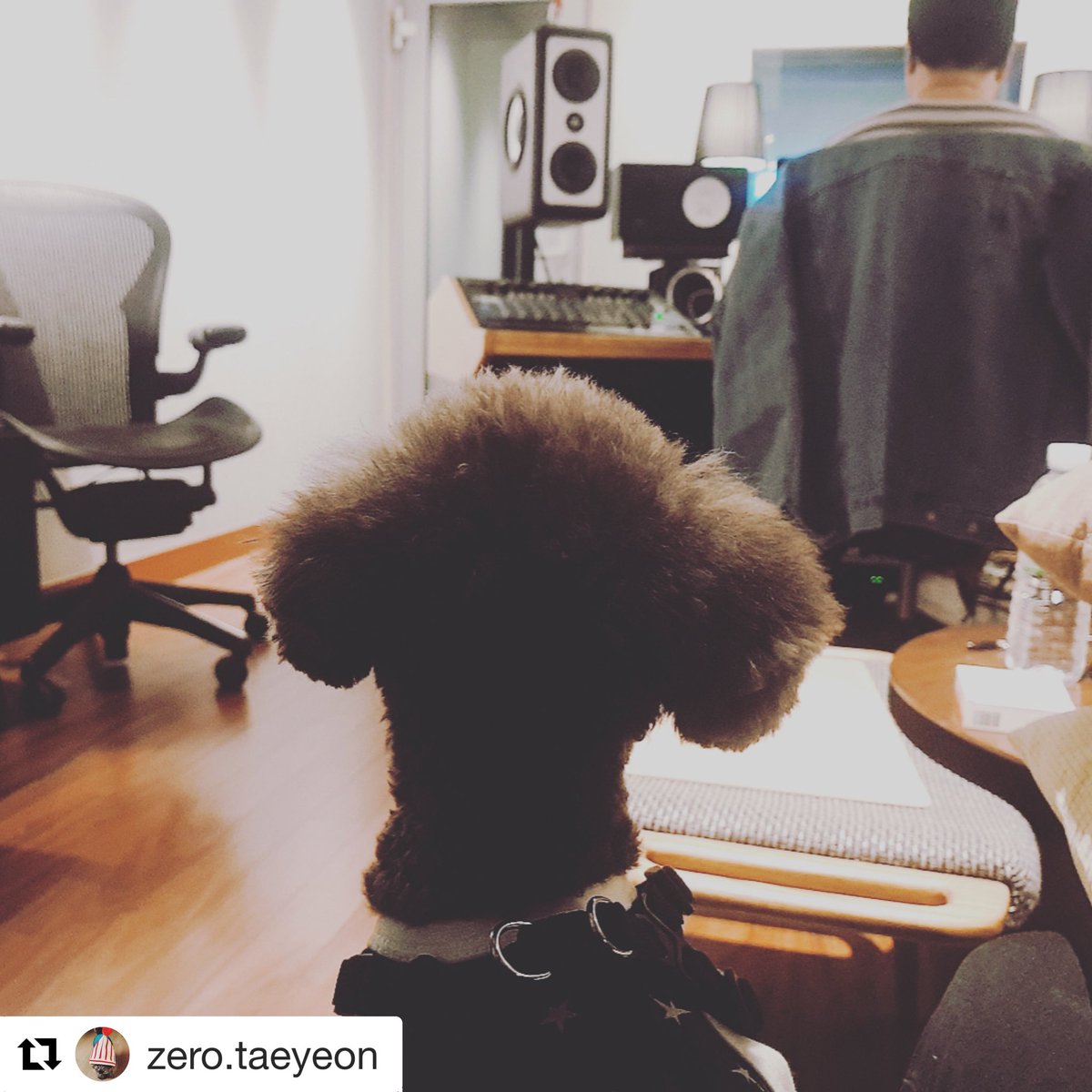 Mary Ashley Rashid (@arashidvancity) | Twitter