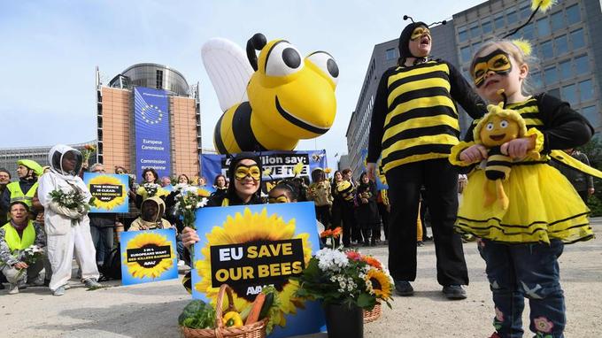 Serait-ce la fin des #neonicotinoides ? Ce matin, les représentants des Etats membres de l’Union européenne ont interdit 3 produits de cette famille d’ #insecticides tueurs d' #abeilles sur toutes les cultures de plein air ►► lemonde.fr/pollution/arti… #espoir