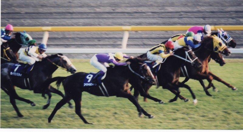 スペシャルウィーク死去
