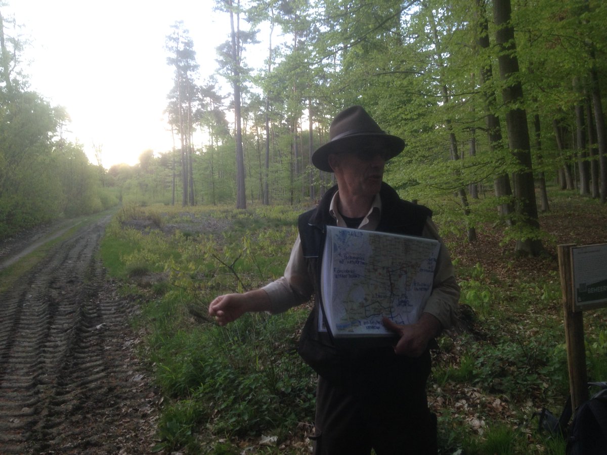 meesterivo's tweet photo. Hoe goed #bosbeheer kan leiden tot meer diversiteit. Knap verhaal van @Boswachter_Marc tijdens avondwandeling in #Heverleebos #landschapsarchitect Bedankt voor de uitleg, Marc en @JanH89245962 bedankt voor de lift  Het was een kleine, fijne groep voor de tocht! https://t.co/rLA67hz4Lp