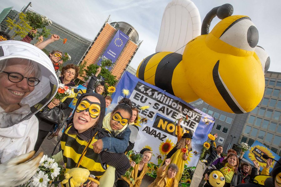 View image on Twitter