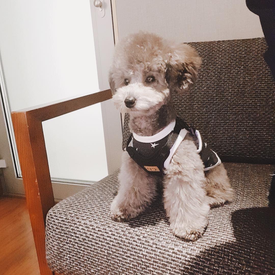 TaeyeonBrasil's tweet photo. [#ZEROSTAGRAM] 27/04/18 - "Mm, essa música é boa 🎧 #Zero #Monitorando #SM #EmpregadoCão" https://t.co/aelGkpzdJl