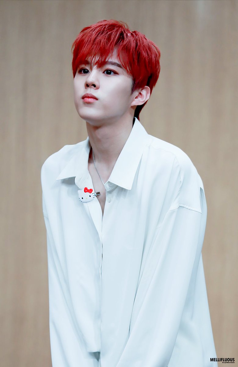 6. wooshin‣ birth name: kim wooseok ¦¦ hanja written as '金宇硕', read as ''jin yu shuo"• it wasn't explained as to why the words '宇硕' were chosen but apparently his name means 'to live while helping & giving to others'