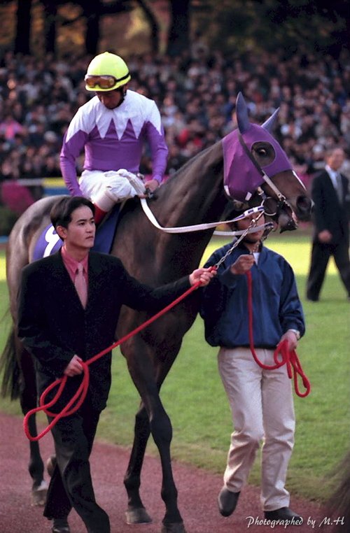 1998年ジャパンC - スペシャルウィークと岡部幸雄騎手