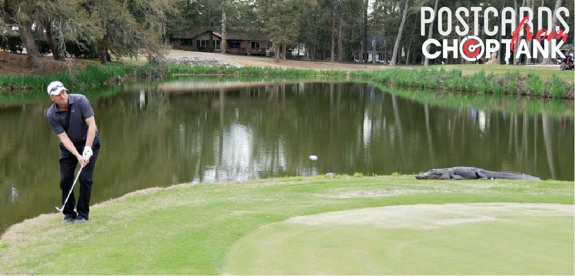 ChoptankTranspt's tweet image. When you are hitting on the green and someone has their eyes on you. #BigTeeth #Wehavemorefun #PostcardsfromChoptank