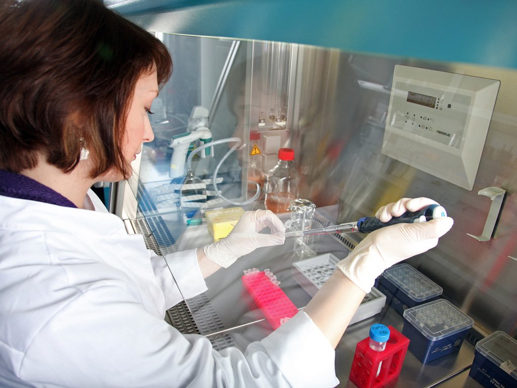 FraunhoferIZI's tweet image. The #GoodLaboratoryPractice (#GLP) test facility @FraunhoferIZI has been recertified and expanded. izi.fraunhofer.de/en/press/press… #lifesciences #Fraunhofer