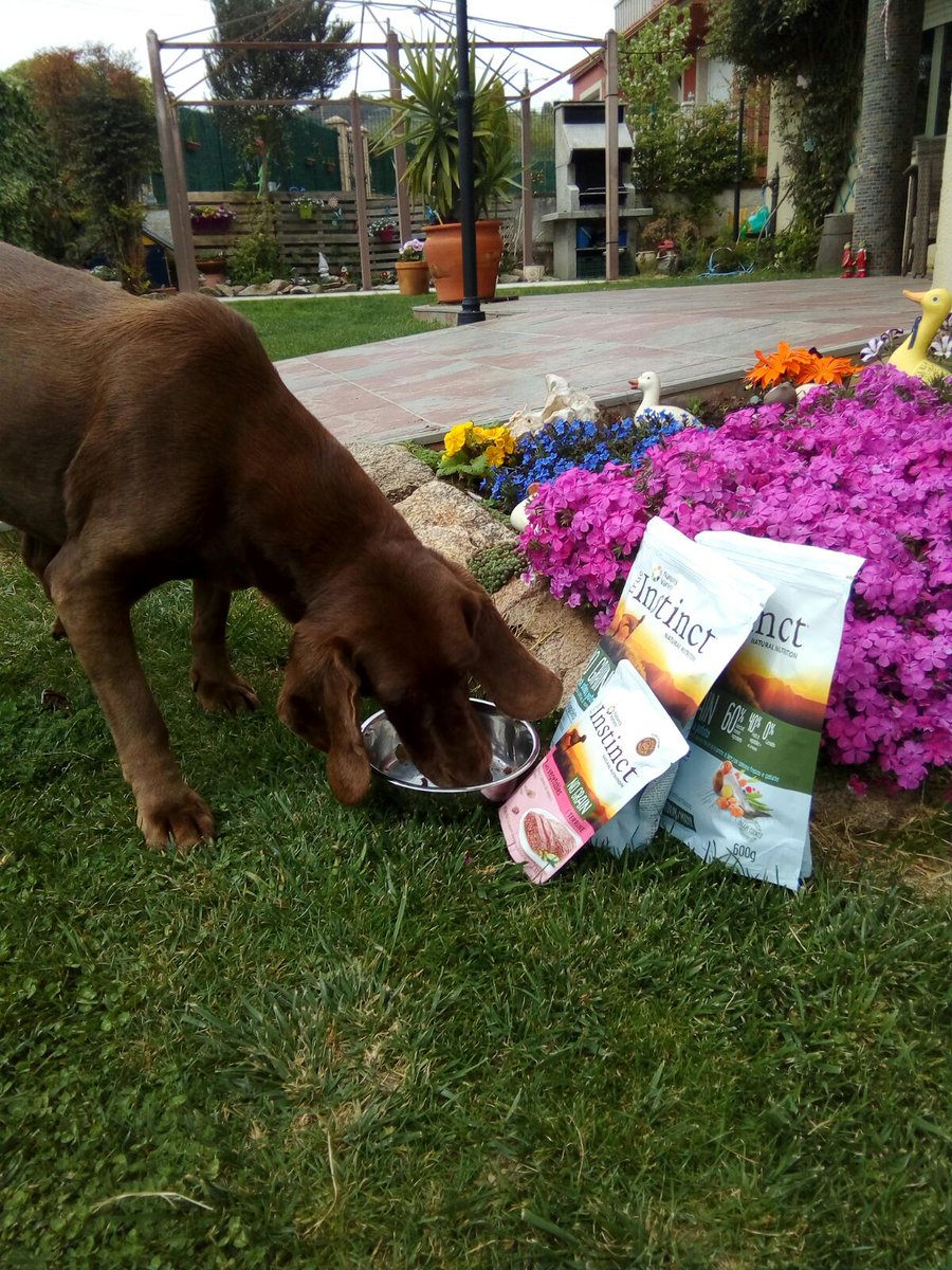 Y por último Lupe también #AlimentaSuInstinto gracias a <a href="/trnd_es/">trnd España</a>