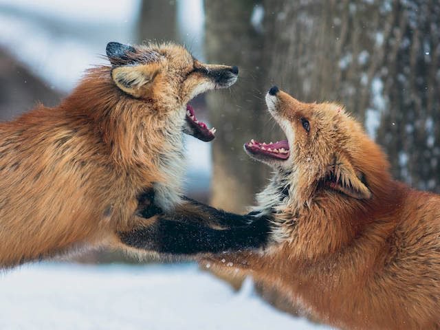 DavidFerguson27's tweet photo. Great read on employee engagement. @Dynamic_Signal @joelleonthego @cmswire @druadh20 #StateofECE https://t.co/1YQSpCW419 https://t.co/rXOzsAhpo0