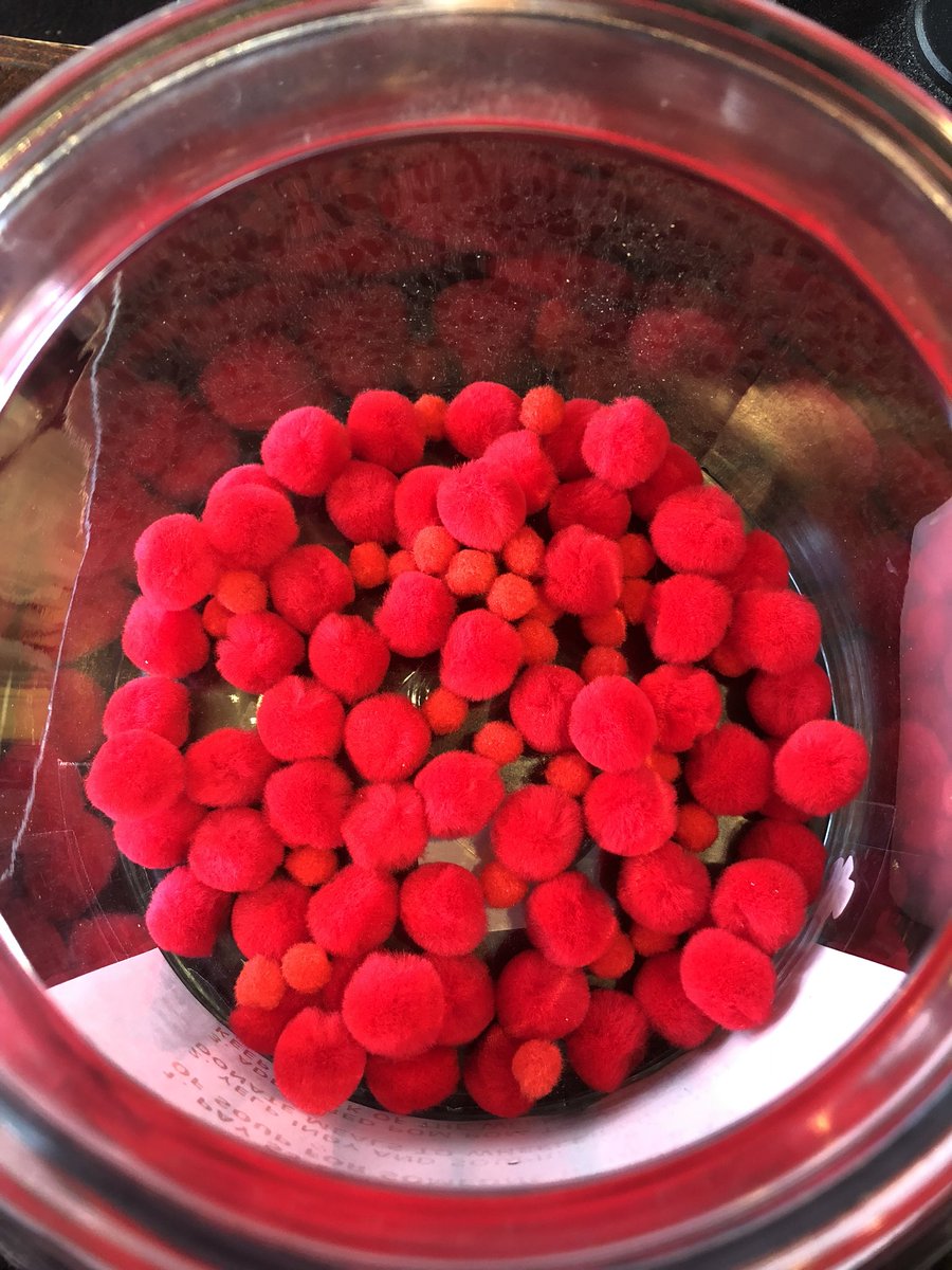 SmallBatchSoups's tweet photo. Let’s fill this jar up, friends! Each pompom represents a cup of soup being donated to @wheelermission. Stop in and donate $3 as part of #YelpHelpsWeek. ♥️ https://t.co/mpeYYpPG6c