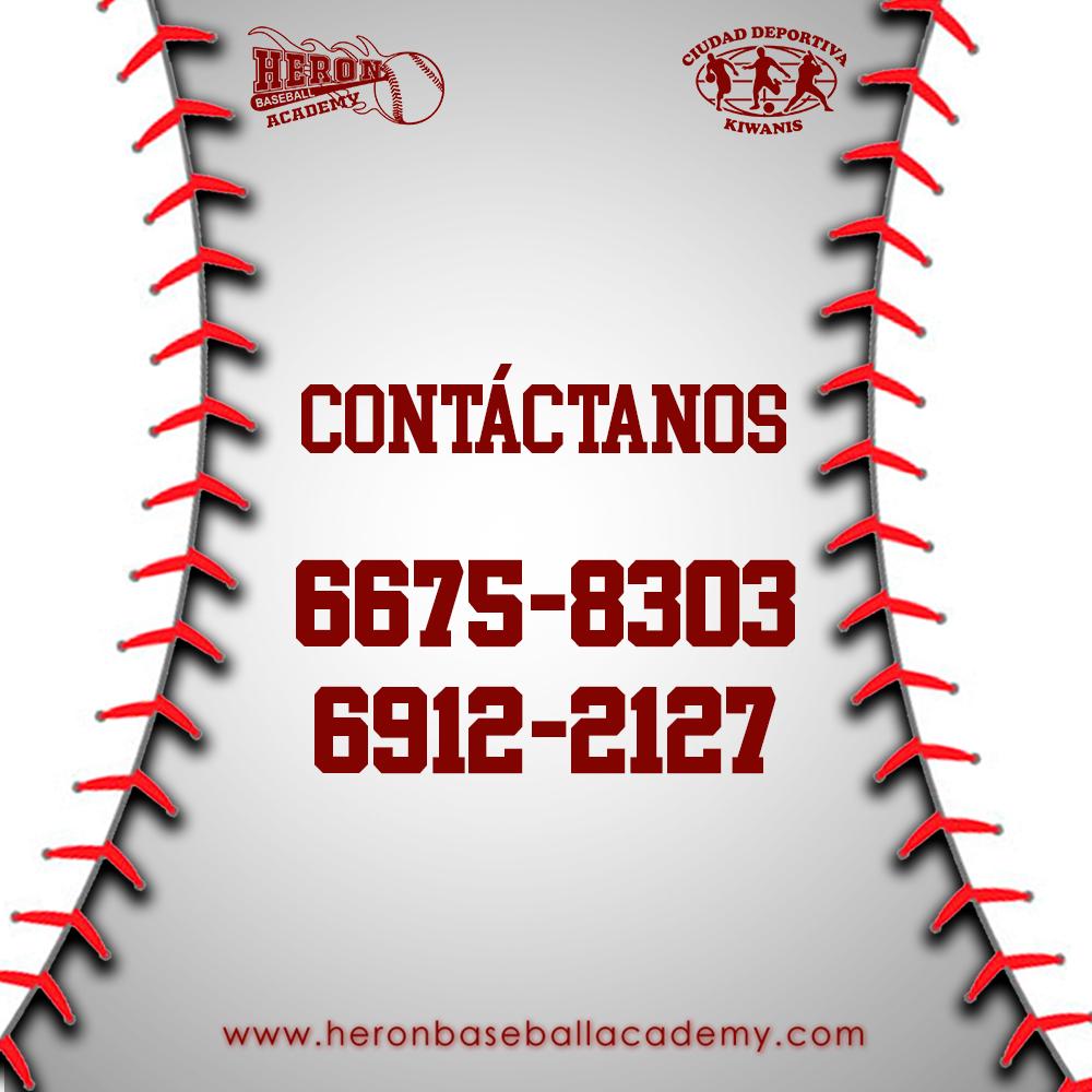 heronbaseballacademy tweet media