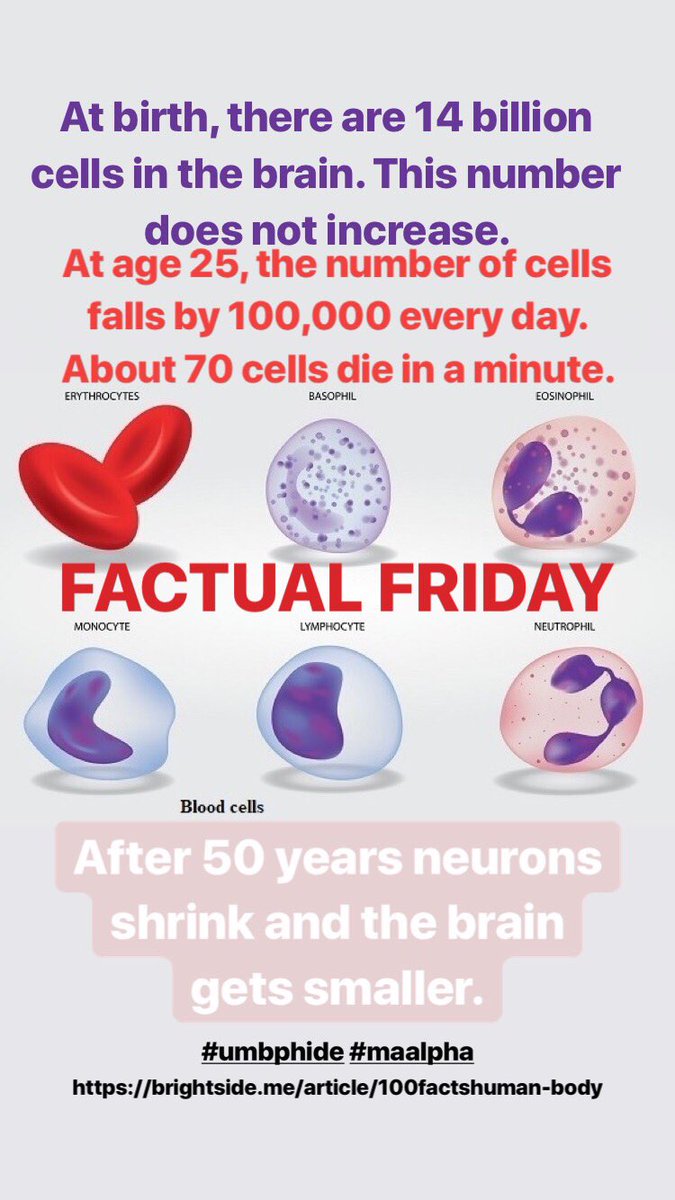 UMBPhiDE's tweet image. #FactualFriday #phide #MaAlpha