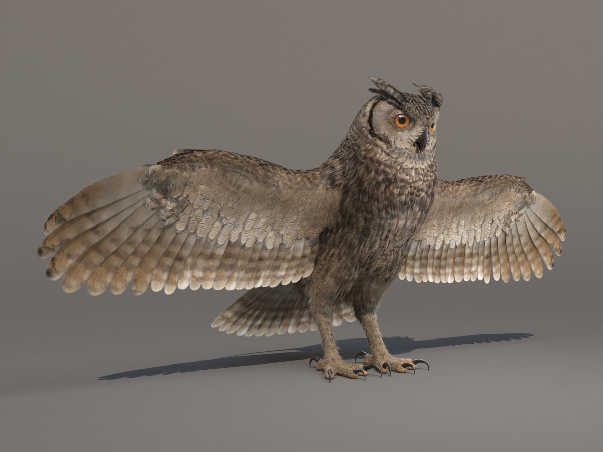 gosha_simonov's tweet photo. Here is my model I was talking about. Finally🙂! Rigged version is on its way. Thanks for watching!
#3d #owl #bird #turbosquid #cg #art #indie #vray #indiedev #3dsMax #render #artist #portfolio #missset #makeof https://t.co/jKs9zvOOqT