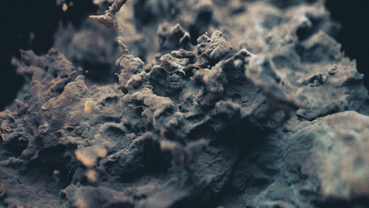 BryanTheColeman's tweet image. Skull Destrukt 02 - Volume Displacement

#displacementMaps #noise #C4DtoA #c4d @maxon3d @AdobeAE #skull rendered with @RenderEndlessly