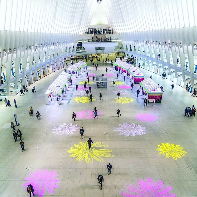 The Oculus in full #bloom #NYC #WJHotel #Travel #TGIF #Weekend
Photo by Noel Y. C.