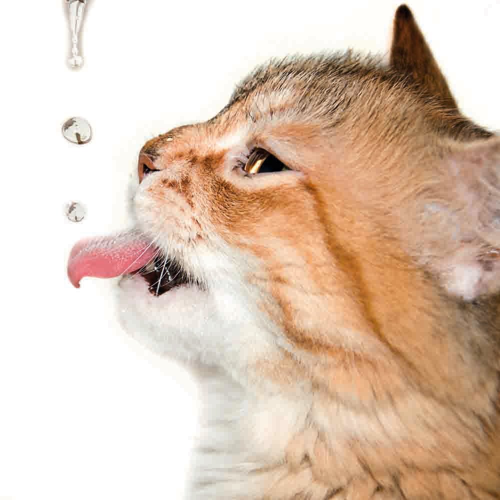 clippingpathval's tweet image. We provide world class service in graphics production.Your satisfaction is our principle motto. goo.gl/rWVtb4