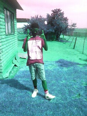 catapiter ice tweet media