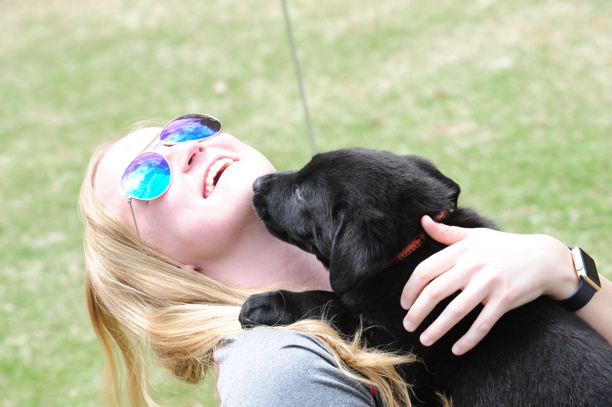 ncstateece's tweet photo. Come and get your puppy-petting on at #MiniWolvesatECE on the Oval Lawn until 4pm! https://t.co/124Omp7YEF