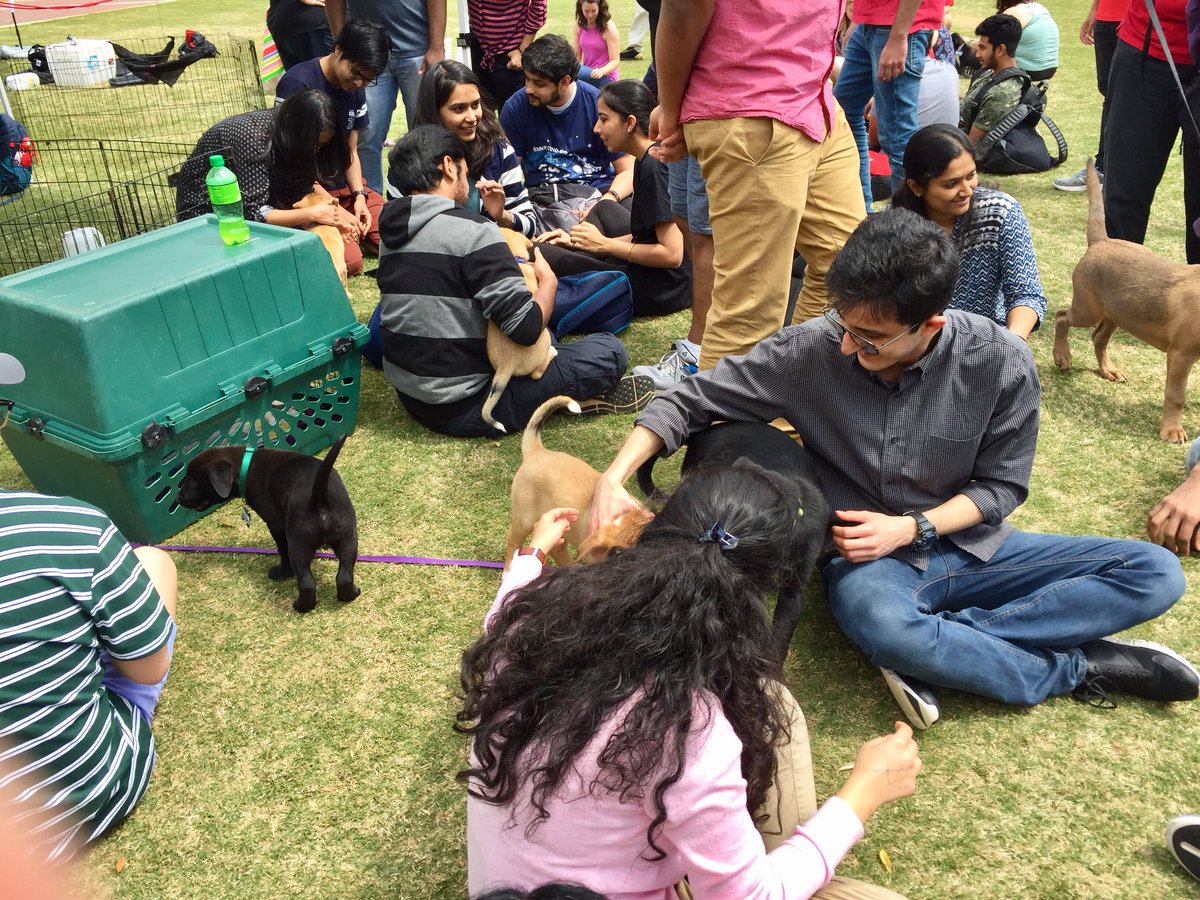 ncsugradschool's tweet photo. I am #LDOC (Liking Dogs On Campus) today! #MiniWolvesinECE happening now at the Oval until 4pm. #GradPack #NCStateOnCampus https://t.co/hEs8FbqP6r