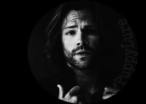 | Sam Winchester |

• SPN / Crossovers
• Looking for SLs, partners and such
• Multiverse / Multiship
• Descriptive enough
• I do what I want
• 21+

#нαƖƖσωѕ