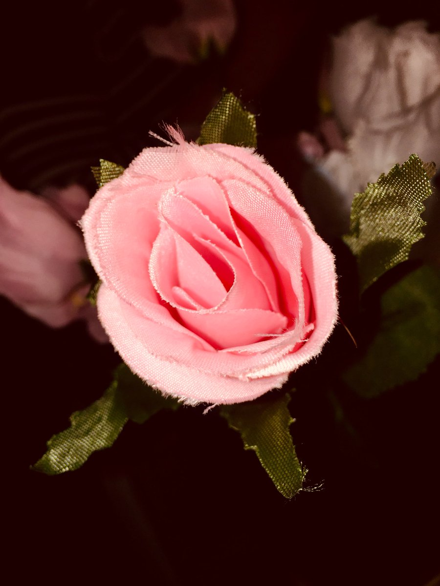 ianmhm's tweet photo. Book your ticket before midnight on Monday 30th April to save £4 on standard and concession tickets. All tickets include your first drink, with further refreshments available by donation. Book from https://t.co/a7clMiLVZN #operaalegria #fundraiser #alisutherland #stuartmcdermott https://t.co/5d2tF1ddQZ